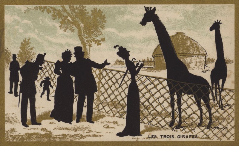 De drie giraffen door French School