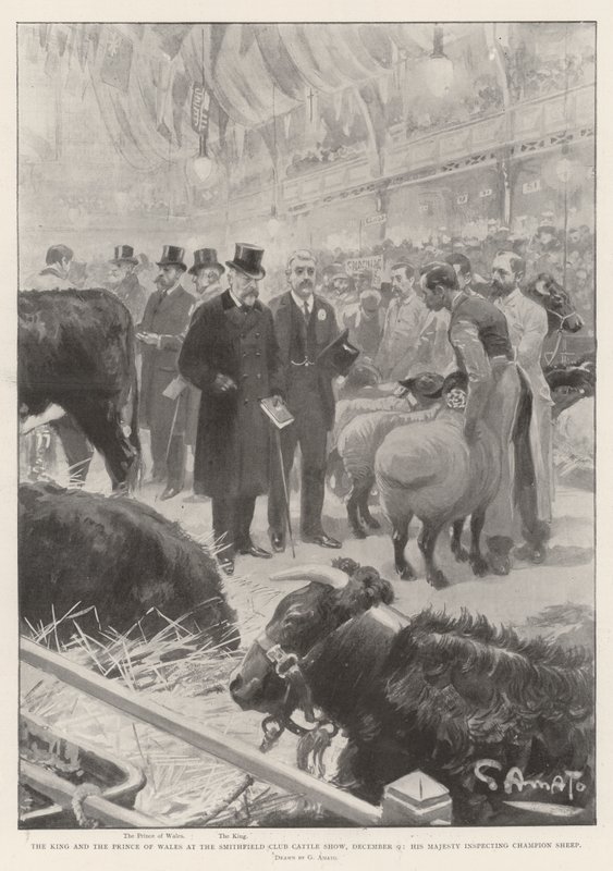 De koning en de prins van Wales op de Smithfield Club Cattle Show, 9 december, Zijne Majesteit inspecteert kampioensschapen door G.S. Amato