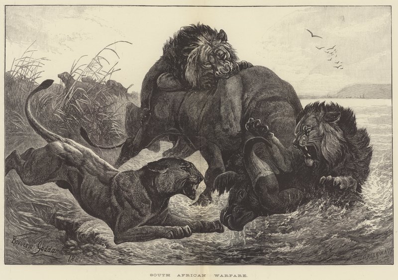 Zuid-Afrikaanse Oorlogvoering door George Bouverie Goddard