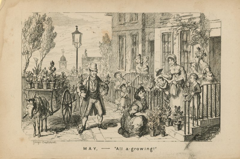 Mei - alles groeit door George Cruikshank