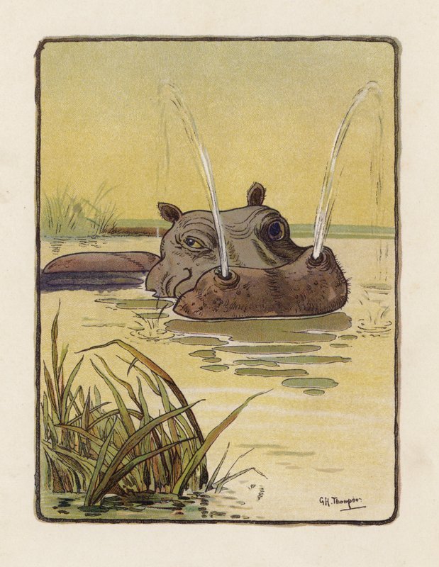 Het nijlpaard door George Henry Thompson