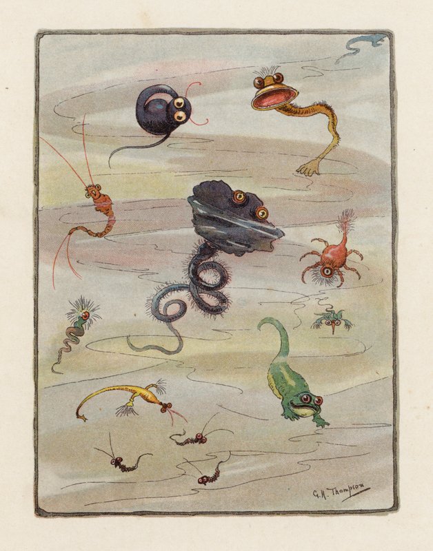 Het Microbe door George Henry Thompson