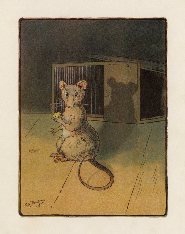 De Muis door George Henry Thompson