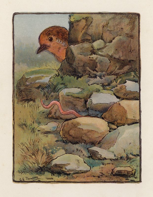 De Worm door George Henry Thompson