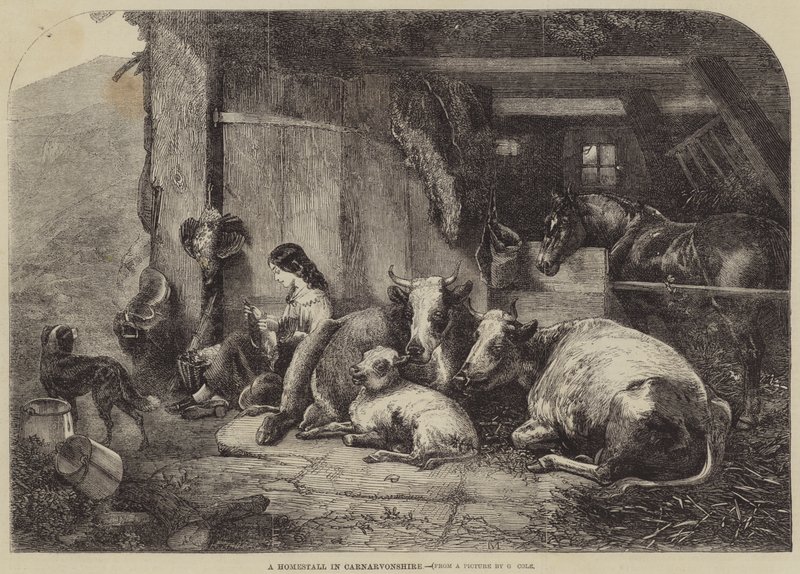 Een Boerderij in Carnarvonshire door George Vicat Cole