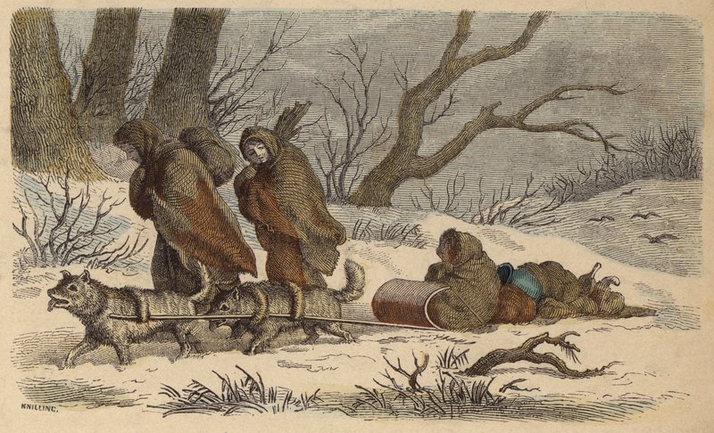 Een inheemse Amerikaanse slee (gekleurde gravure) door German School