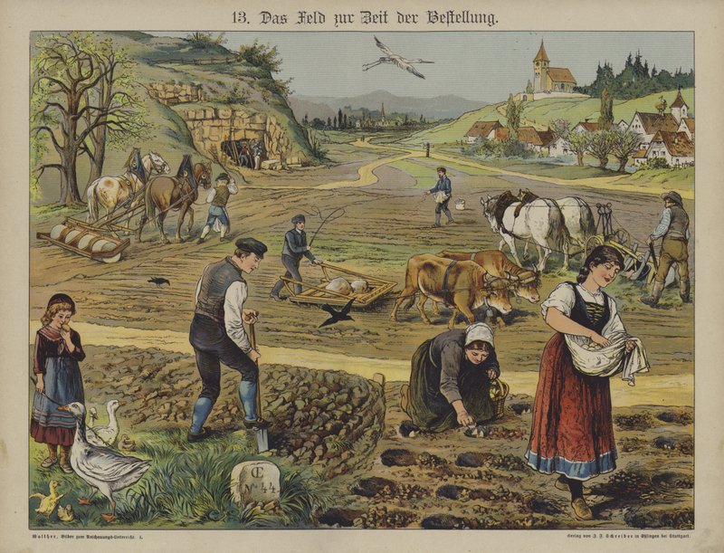 Landbouw (kleur litho) door German School