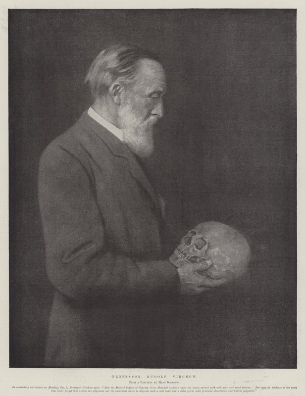 Professor Rudolf Virchow door German School