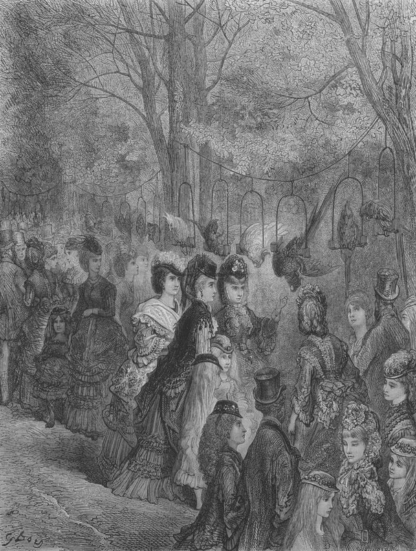 Dierentuin, De Vogels door Gustave after Dore
