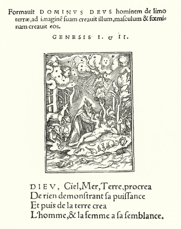 De schepping door Hans (after) Holbein the Younger