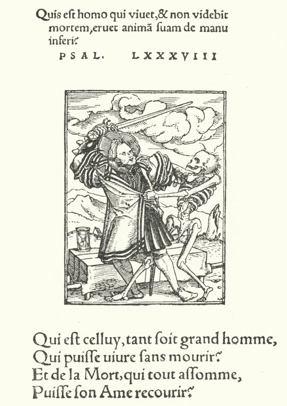 De edele ridder (gravure) door Hans (after) Holbein the Younger
