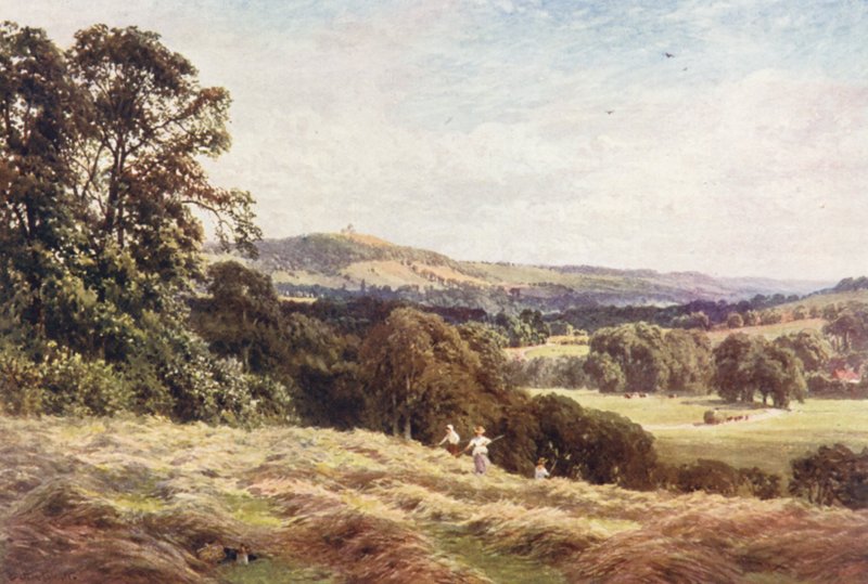 Een hooiveld, Wonersh door Harold Sutton Palmer