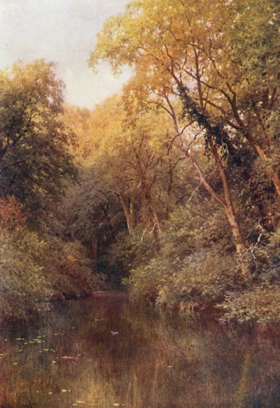 De stille vijver, Albury door Harold Sutton Palmer