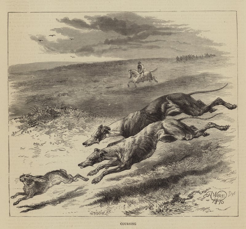 Coursing door Harrison William Weir