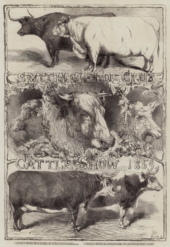Smithfield Club Vee Show, 1859 door Harrison William Weir