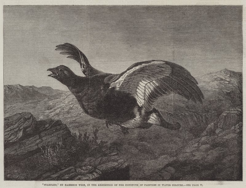 Geschrokken door Harrison William Weir