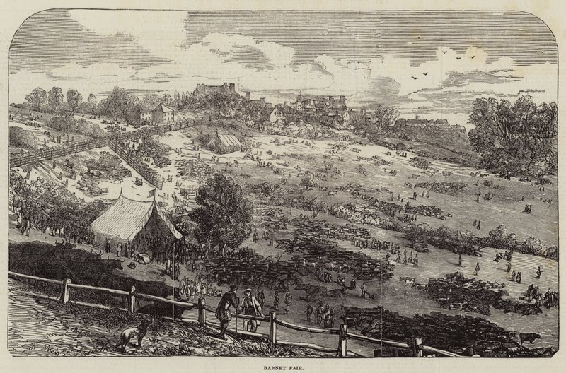 Barnet Fair door Harrison William Weir