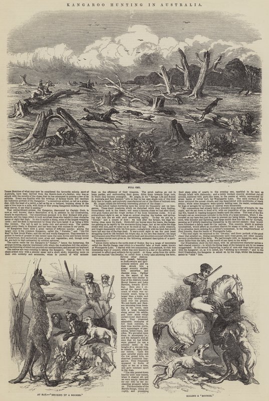 Kangoeroejacht in Australië door Harrison William Weir