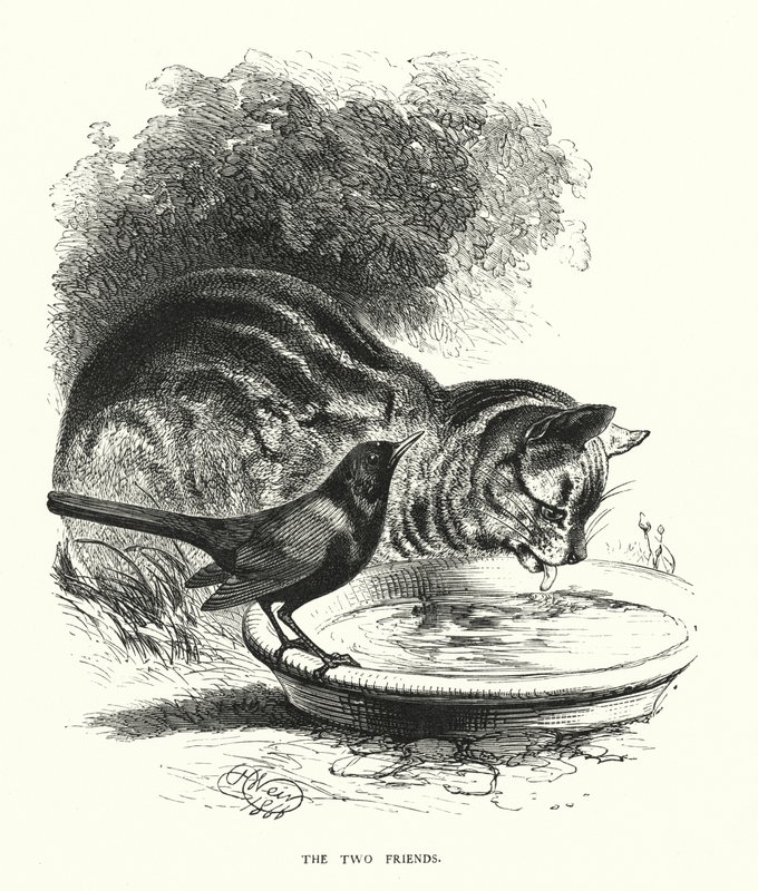 De Twee Vrienden (gravure) door Harrison William Weir
