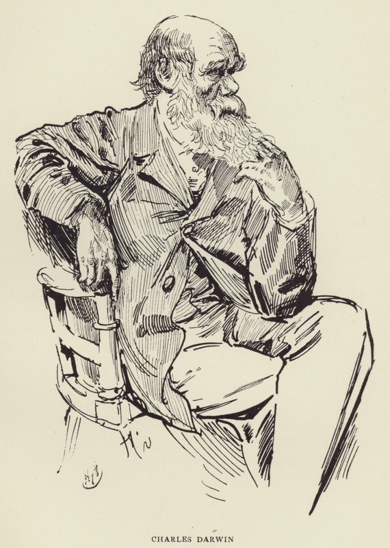 Charles Darwin door Harry Furniss