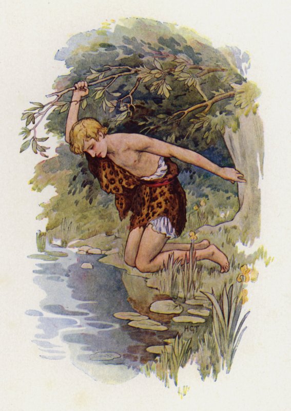 Narcis (kleurenlitho) door Harry George Theaker