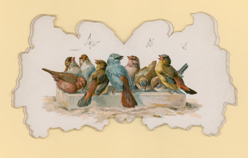 Vogels (kleur litho) door Hector Giacomelli