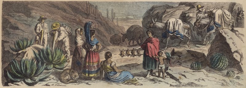Een bergweg in Mexico (gekleurde gravure) door Heinrich Leutemann