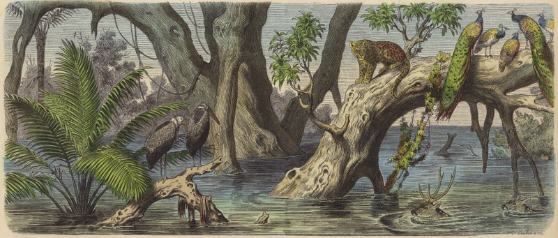 Overstromingen in Oost-India (gekleurde gravure) door Heinrich Leutemann