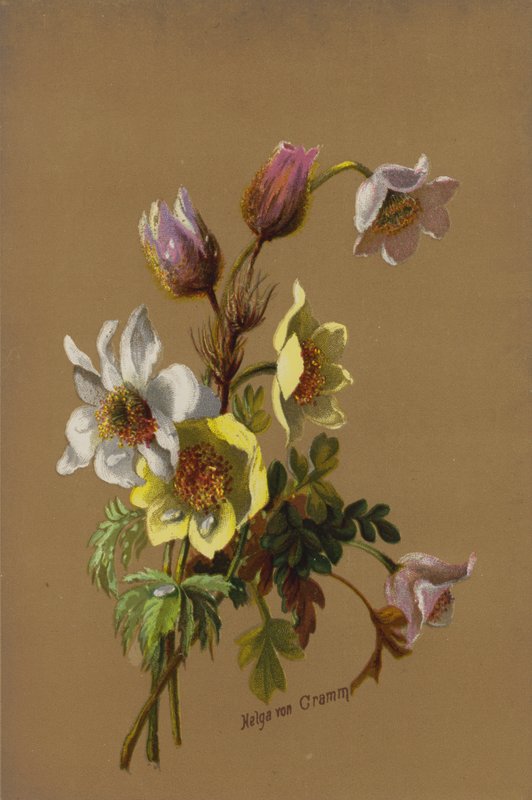 Zonnestraal en dauwdruppel door Helga von Cramm