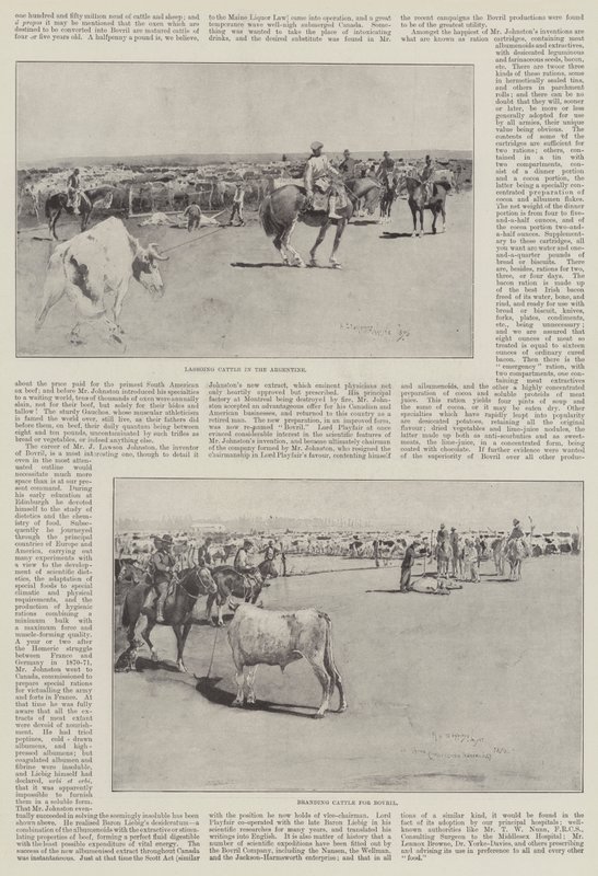 Vee in Argentinië door Henry Charles Seppings Wright