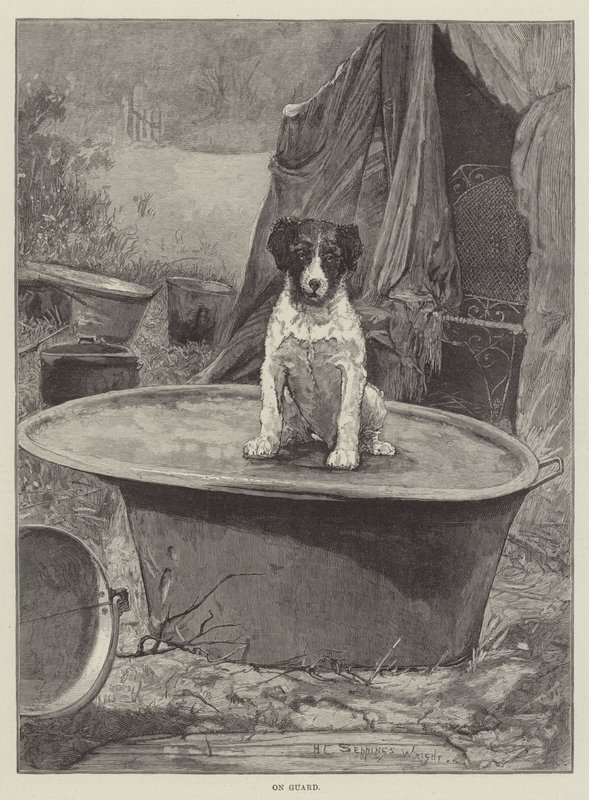 Op Wacht door Henry Charles Seppings Wright