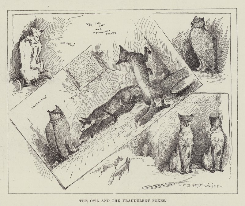 De uil en de frauduleuze vossen door Henry Charles Seppings Wright