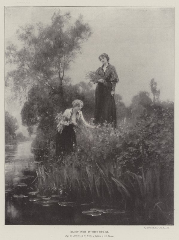 Moerasspirea door Henry John Yeend King