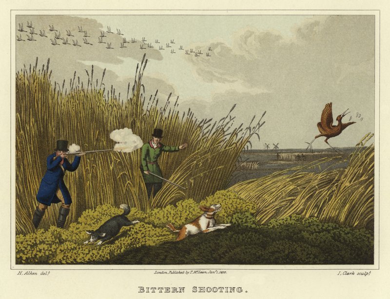 Roerdomp jacht door Henry Thomas Alken