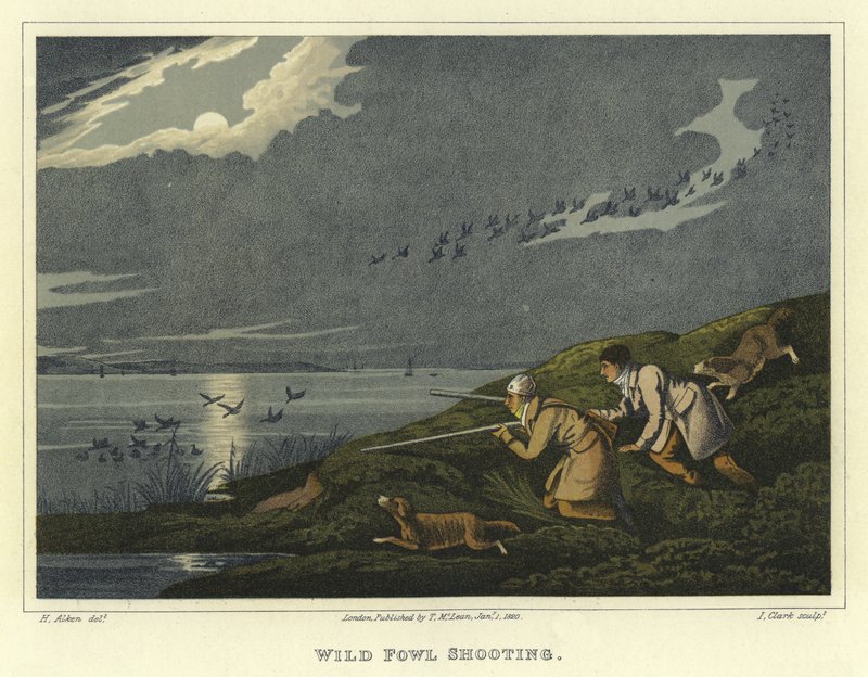Jacht op watervogels door Henry Thomas Alken