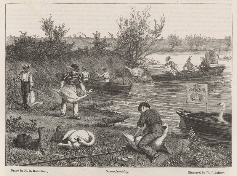 Zwanen-Vangen door Henry Robert Robertson