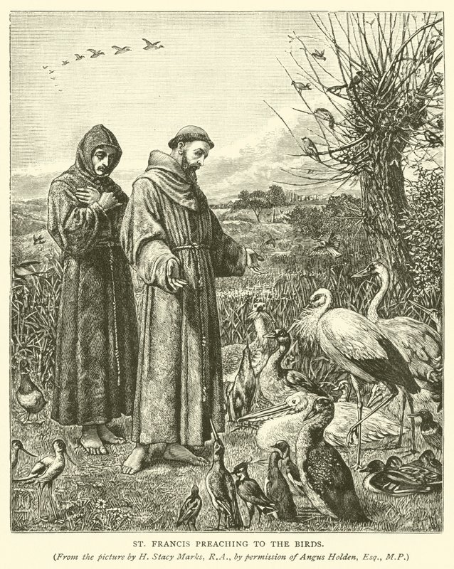 St. Franciscus die predikt tot de Vogels door Henry Stacey Marks
