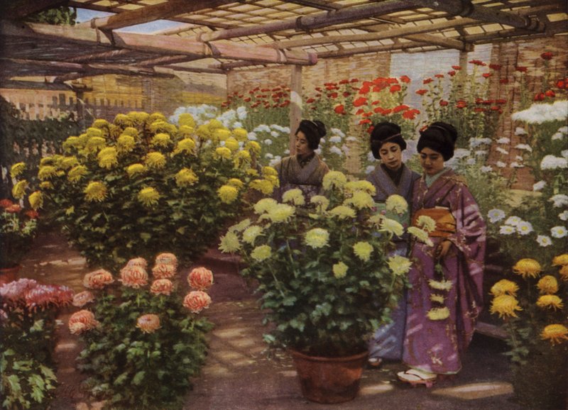Op de Chrysanten Show door Herbert Ponting