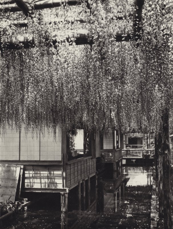 Japan in de jaren 1920: Tokio, Kameido door Herbert Ponting