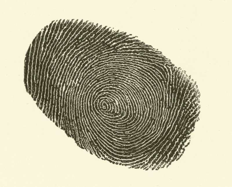 Vingerafdruk door Hugh Rowley