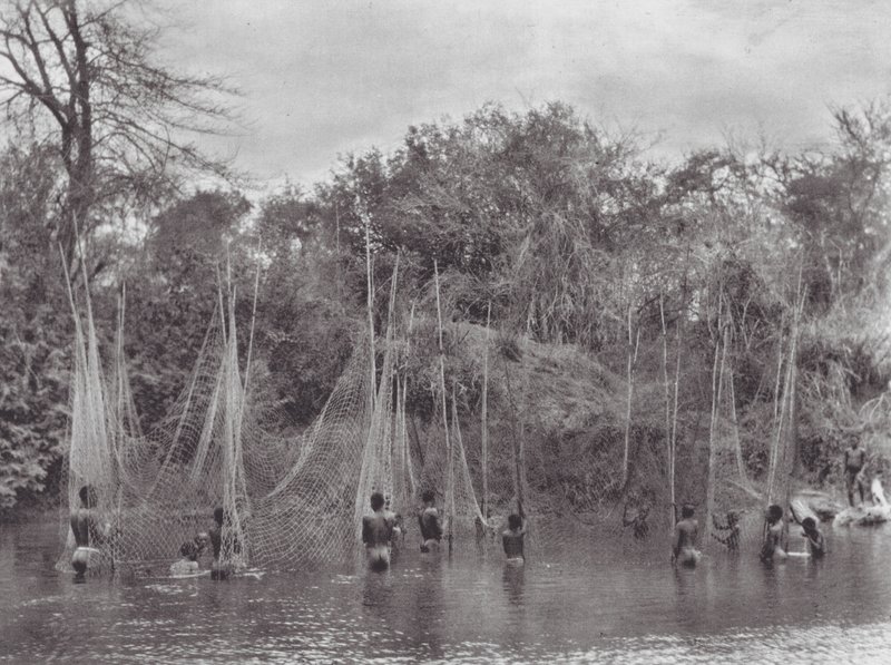 Afrika: Morus vissen door Hugo Adolf Bernatzik