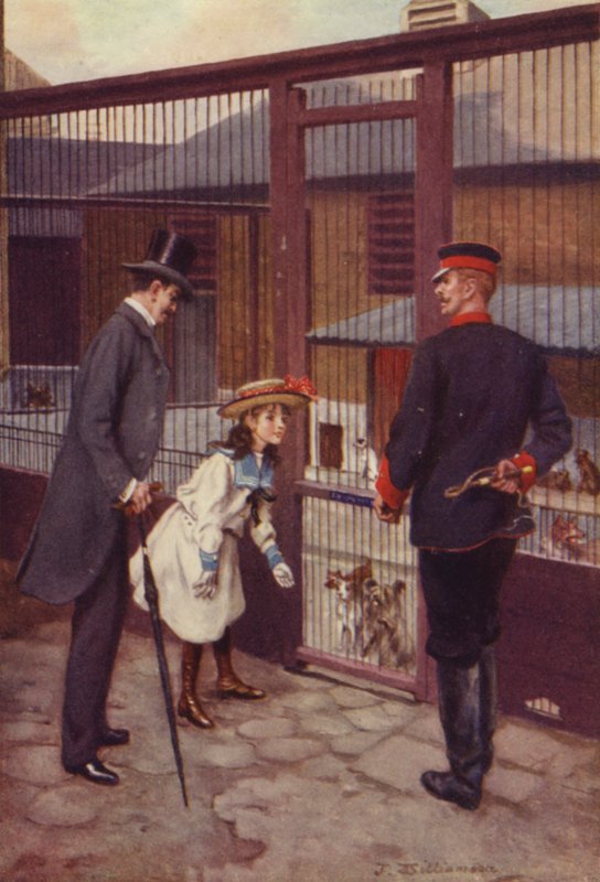 Ethel vindt Scamp door J. Williamson