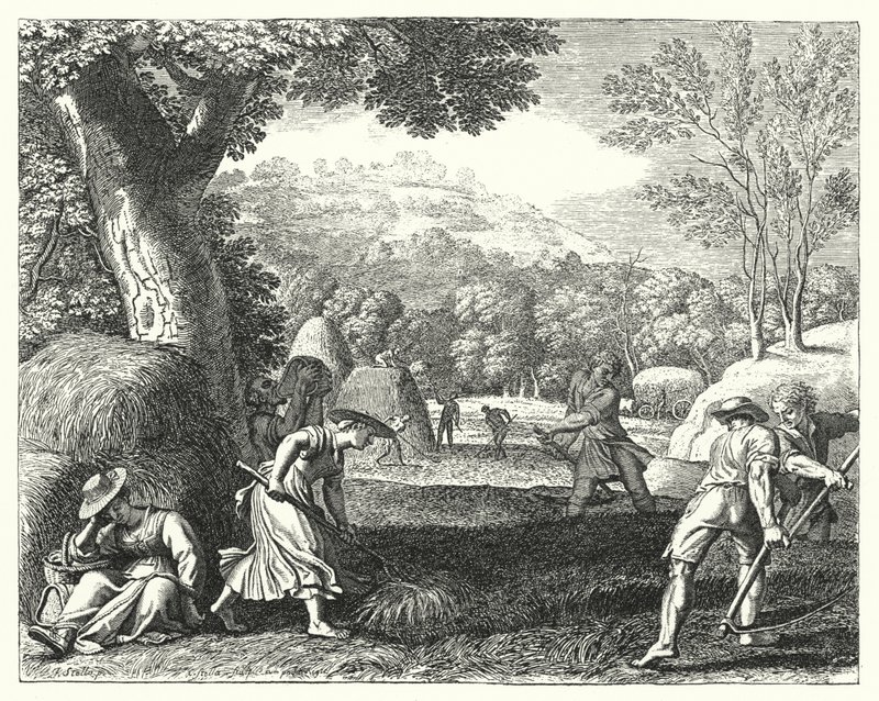 Oogstscene door Jacques Stella