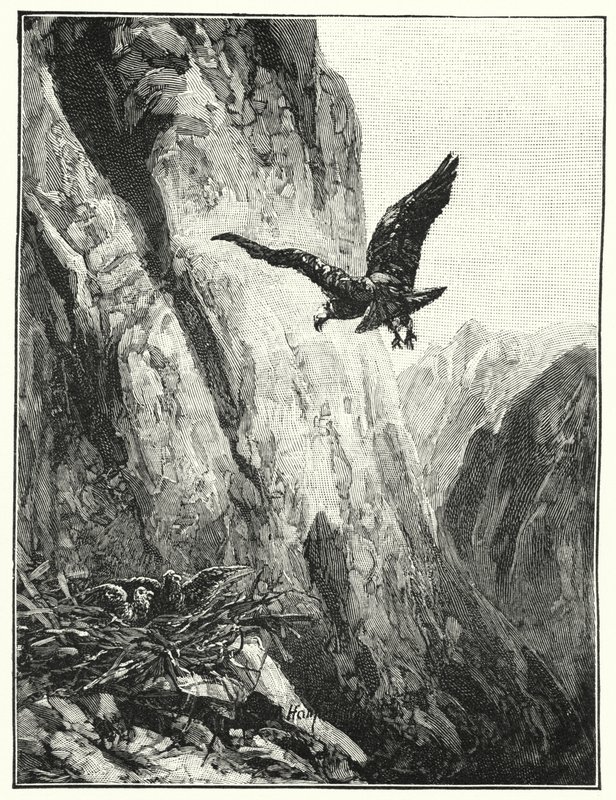Adelaarsnest in de Sinaïberg (litho) door James (after) Clark