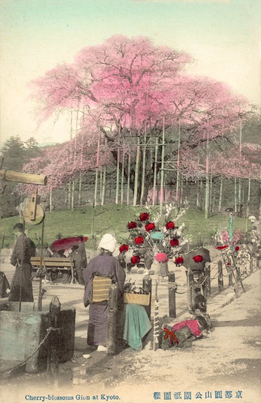 Kersenbloesems, Gion, Kyoto, Japan door Japanese Photographer