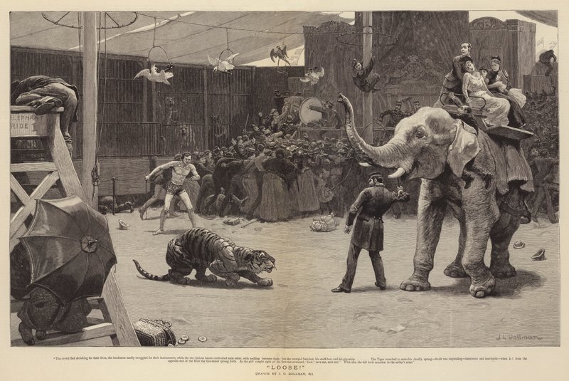 Los! door John Charles Dollman