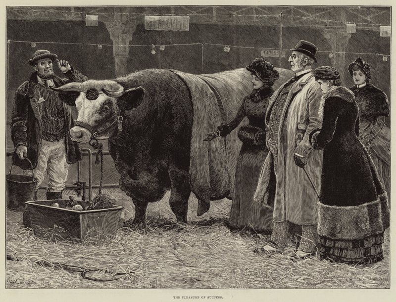 Het Genot van Succes door John Charles Dollman