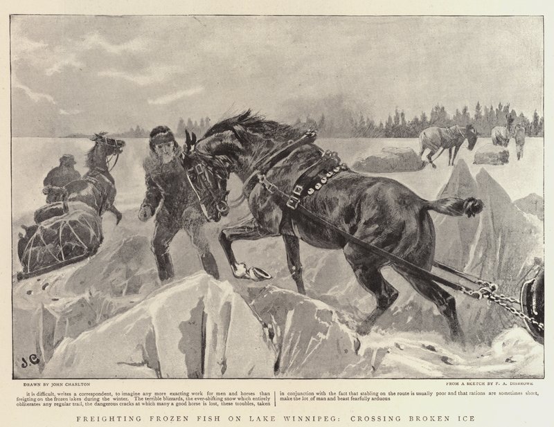 Bevroren vis vervoeren op Lake Winnipeg, over gebroken ijs door John Charlton