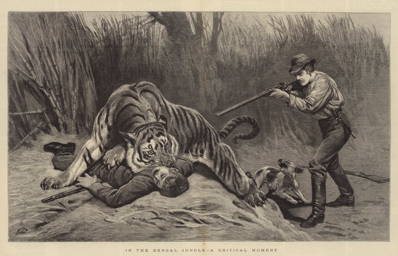 In de Bengalese Jungle, een Kritiek Moment door John Charlton