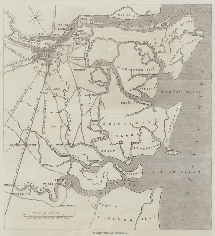 De Omgeving van Savannah door John Dower